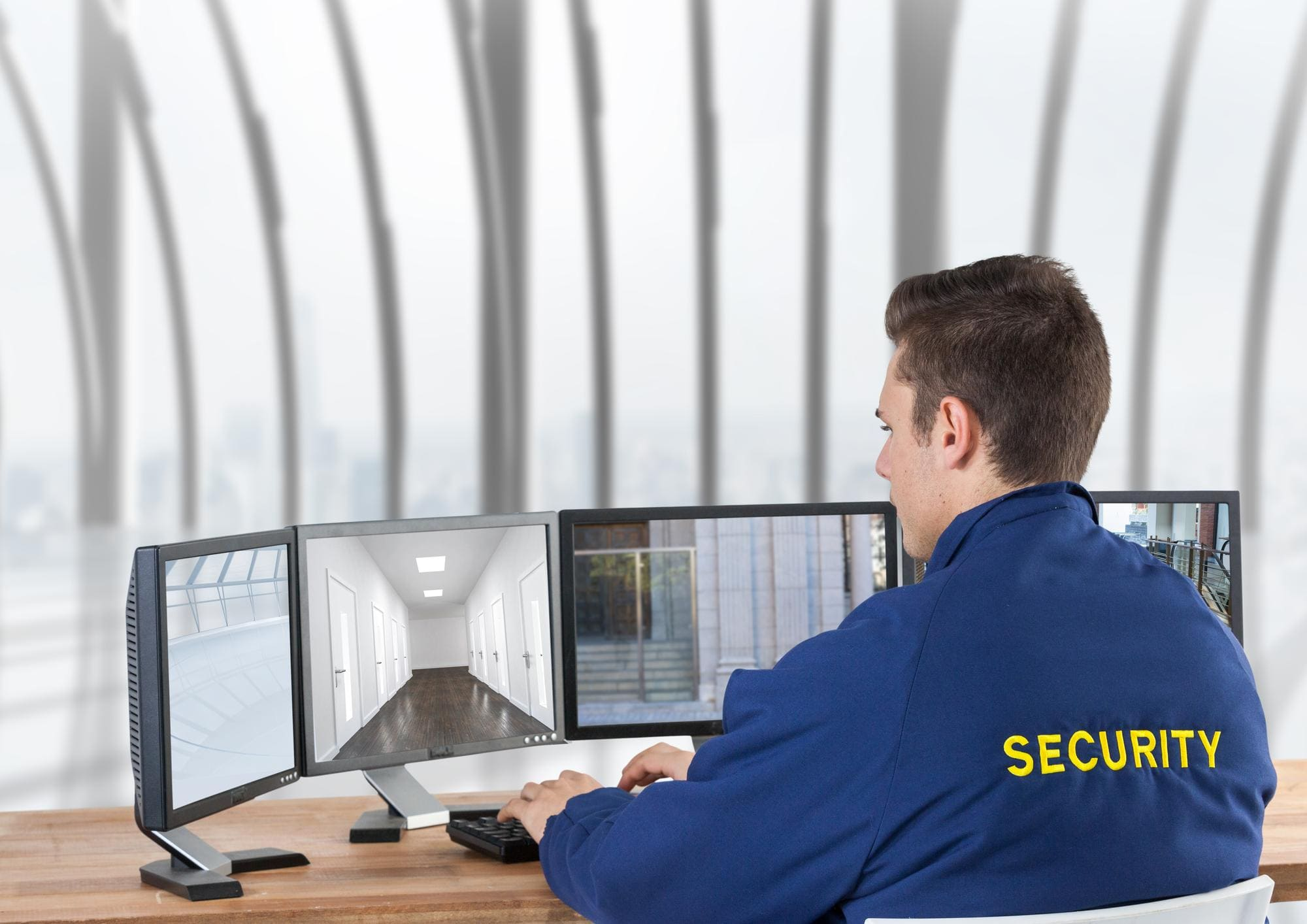 Professional security and business services
