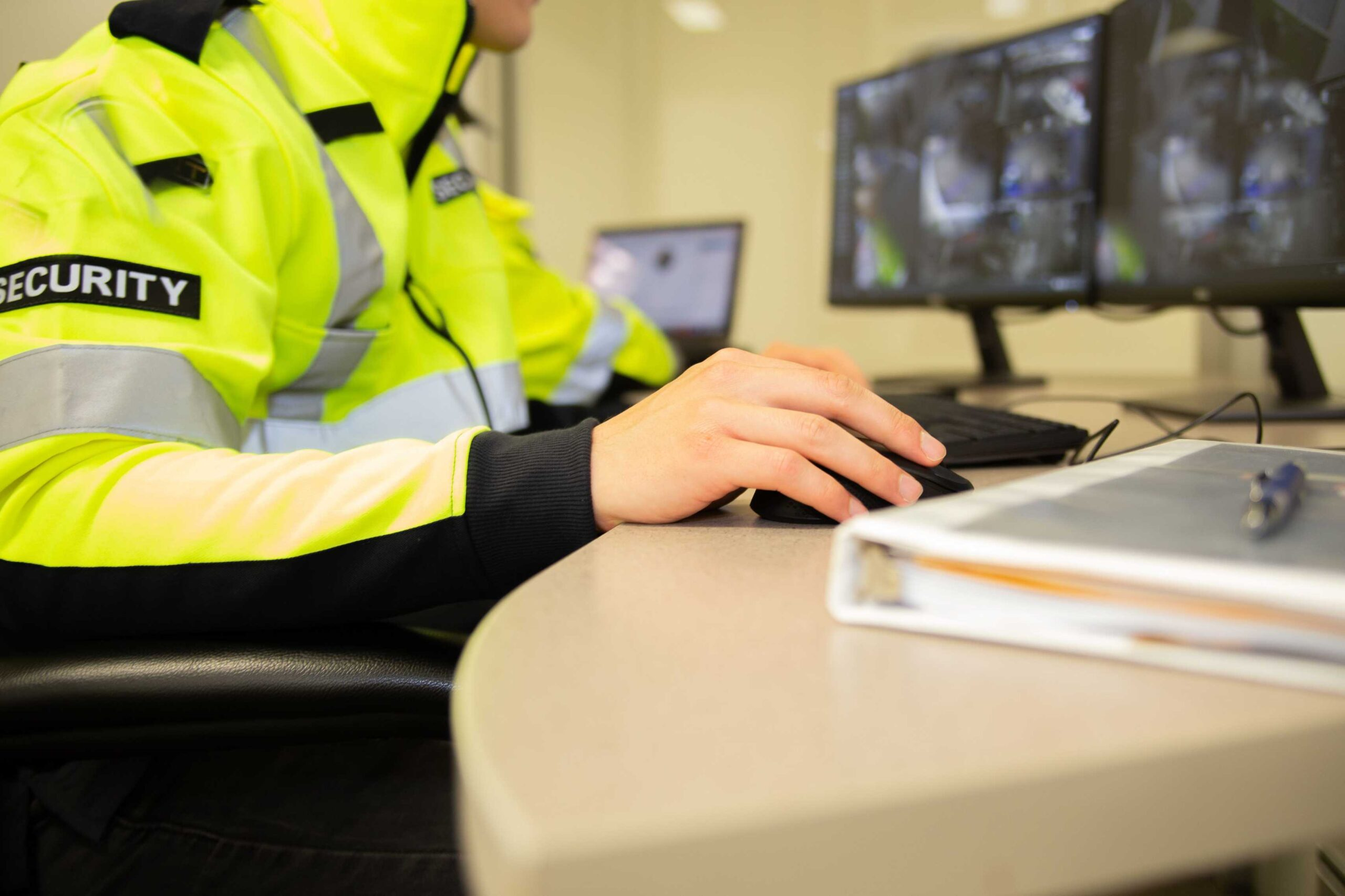 Professional security and protection services
